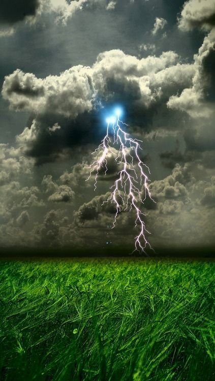 54f77ee379826395fb4e17ed658db613