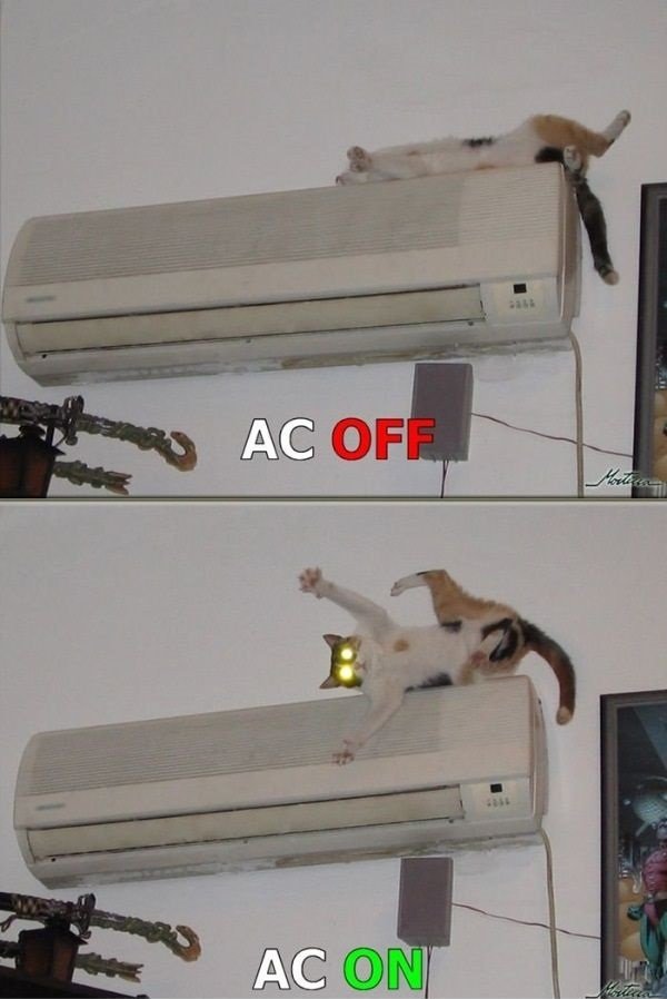My-funny-cat-has-never-slept-on-the-air-conditioner-again_zps2708828a