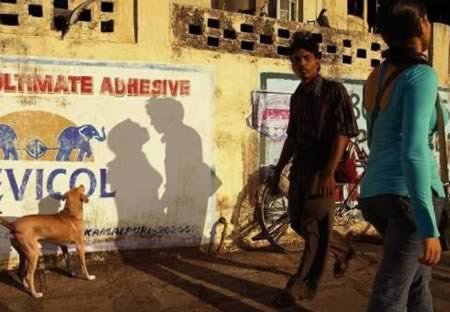 a98560_shadow-photobomb_7-kiss