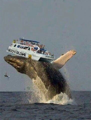 dd408e1a09a8de00a4a45b8a484a5fa3