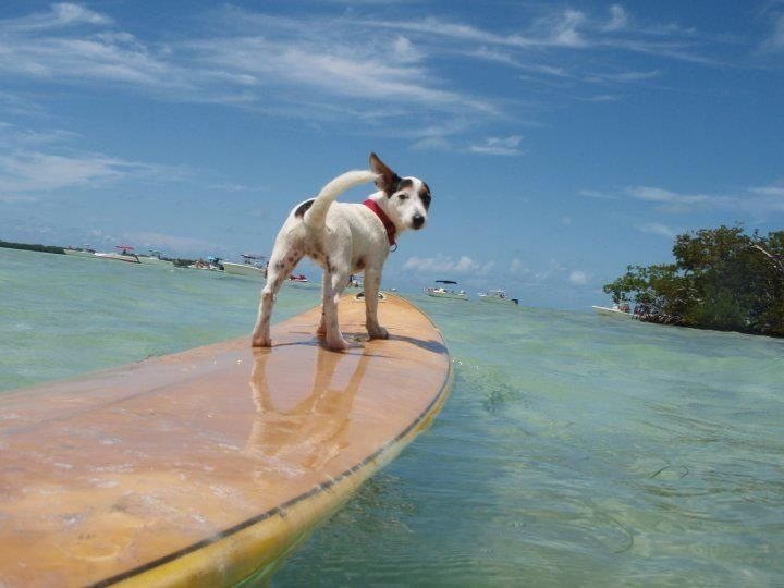 e5dd10b5d5841671381625b3698e920d