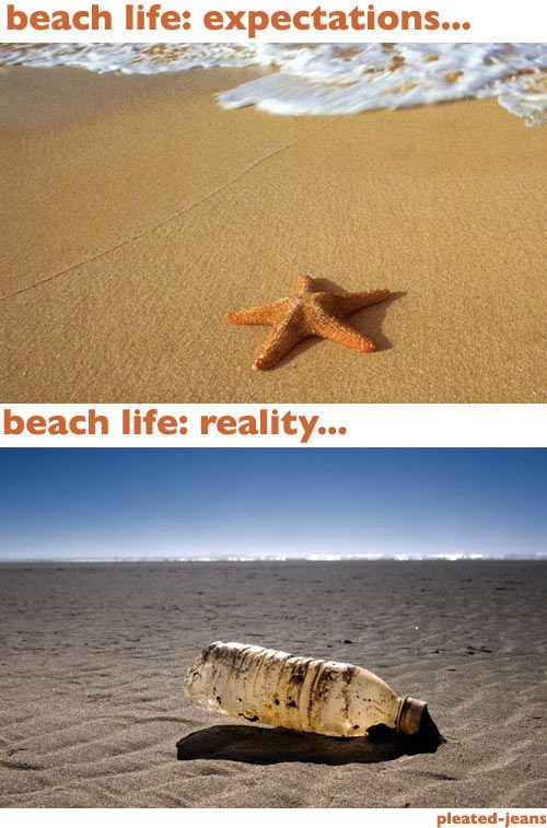 i_beach_expectations_vs_reality_001_4fa4f6ec9729f