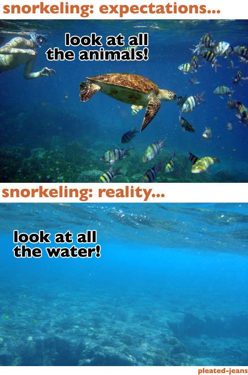 i_beach_expectations_vs_reality_002_4fa4f6ef29299