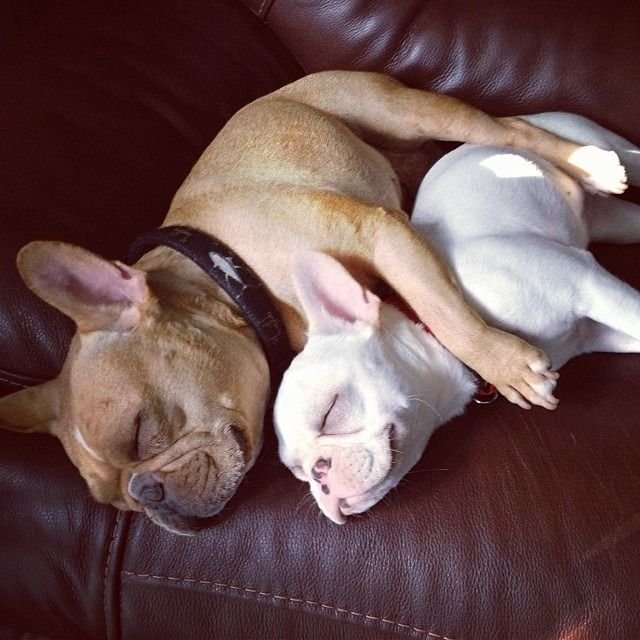 378504c2a2af6612619ea74f0d3cd358