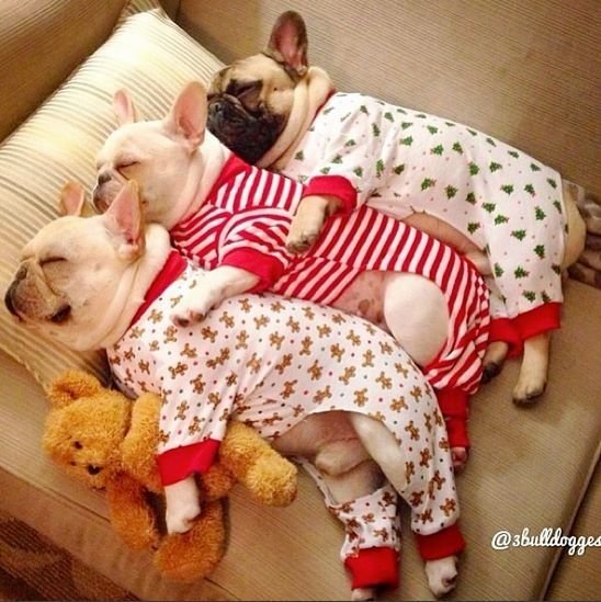 5c98677e10eef11490d90c958437580d