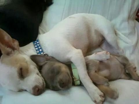 6cae1f42e5895dd0b5f3e385b86c6cfc