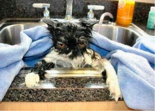 aw-look-at-that-sweet-face