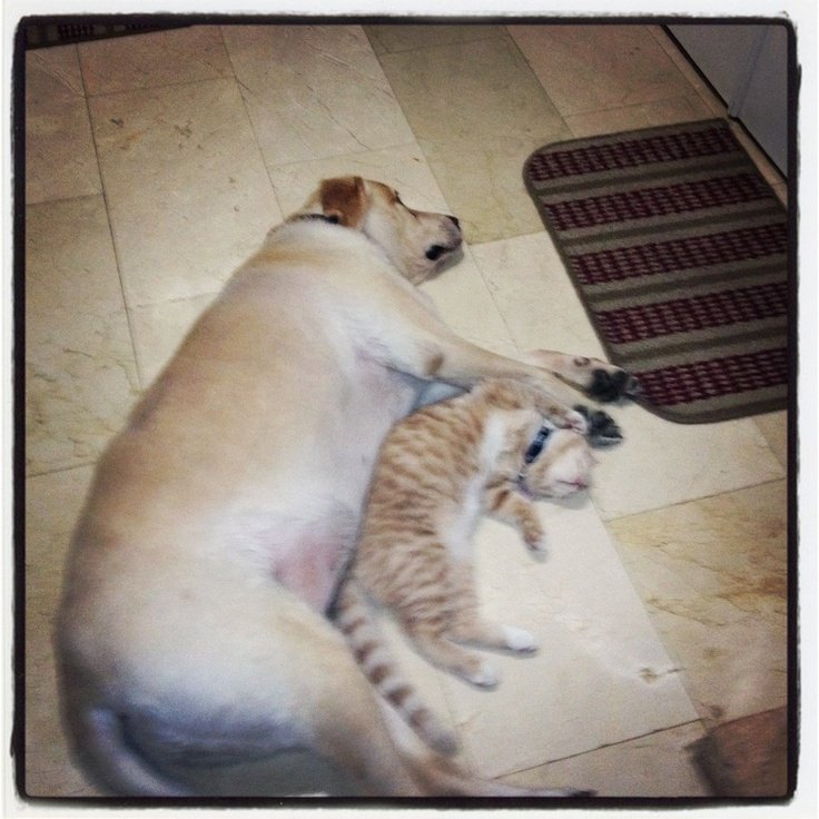 c07694c1333a84c870f505a2cb642aeb