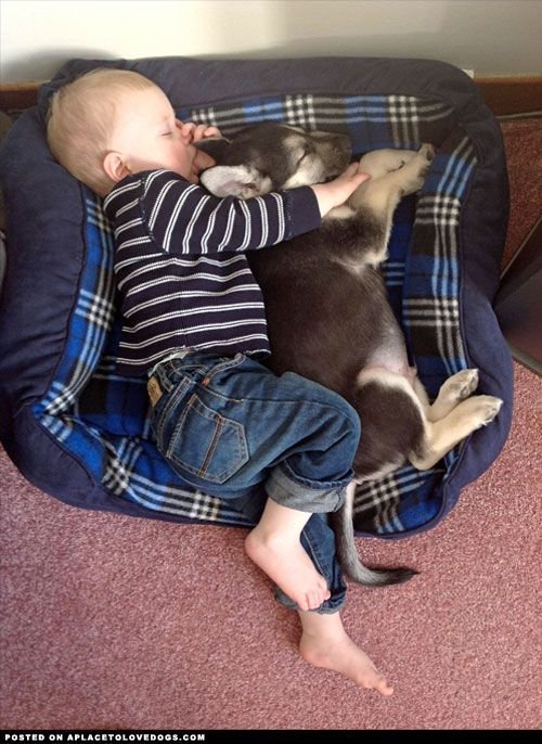 e522be1b345beb890e350fee7f562056