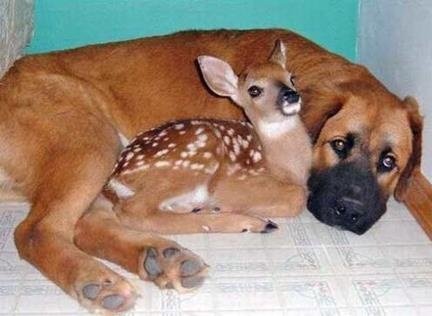 fc49778fc2021e241f480354d2684bca