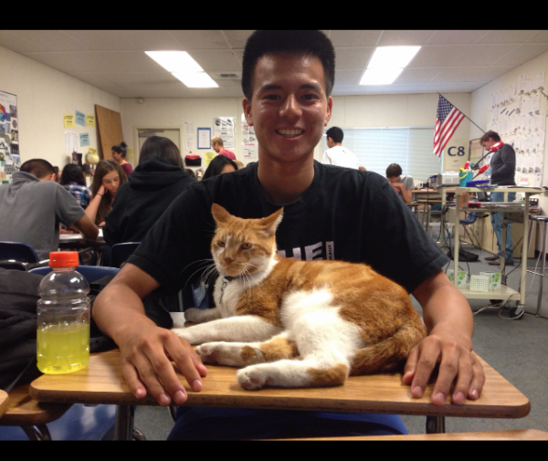 10300875_1440772292845783_469233016594466747_n