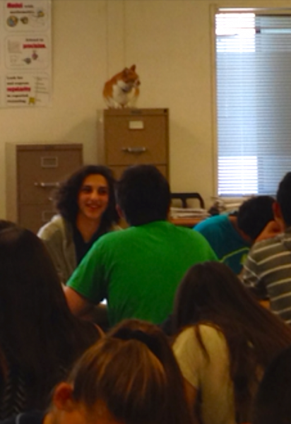 10411878_1438484906407855_5341330845466559691_n