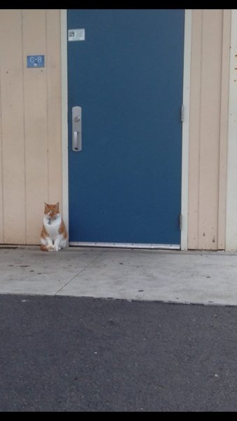 10608442_1473380292918316_4005001182622630329_o