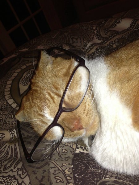 1782354_1509598675963144_4814173013635762469_o