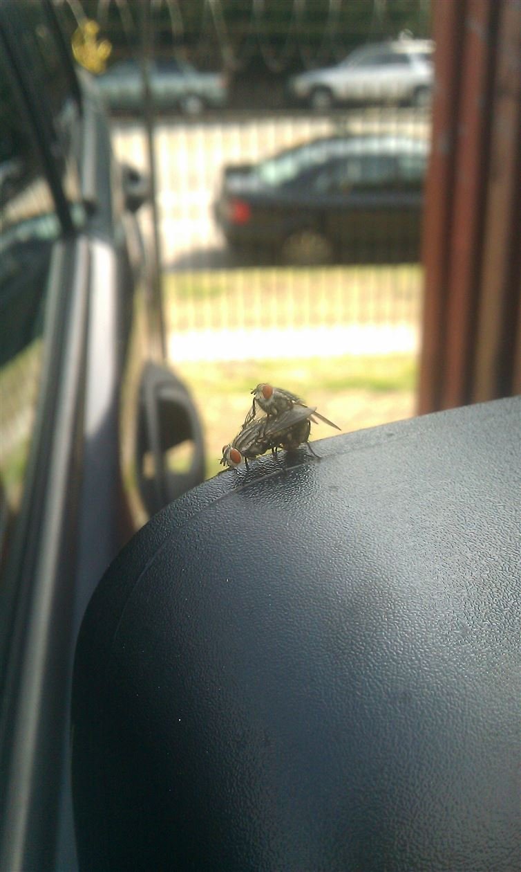 86d21ddf-3cdb-4360-9308-d9e27b8748b7