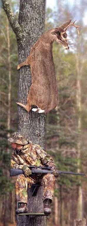 388ca50ae98fd07649d5b93d1747b0dc