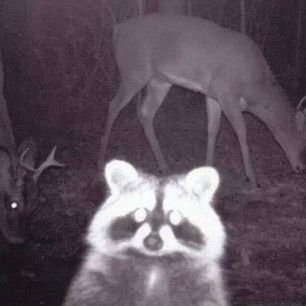 a91a87b978df3d2e85adab890eabc355