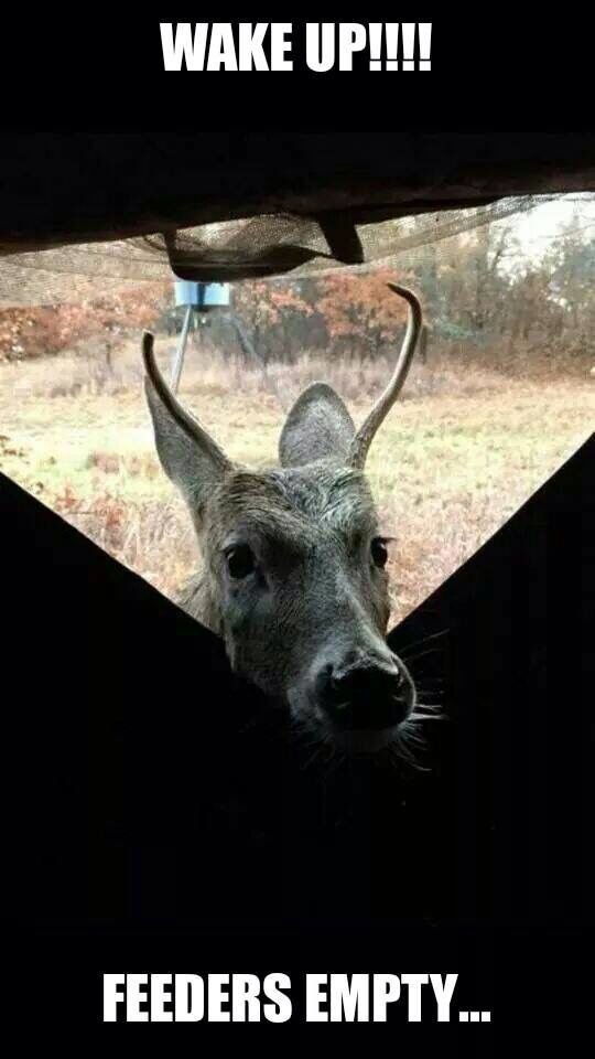 c2ddd98d0b2bf9a3580688b879347241