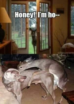 eaba31f6067a46cbd20cb1353d021819