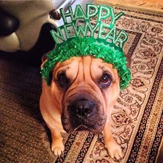 10895304_954260384586991_2115343439_n