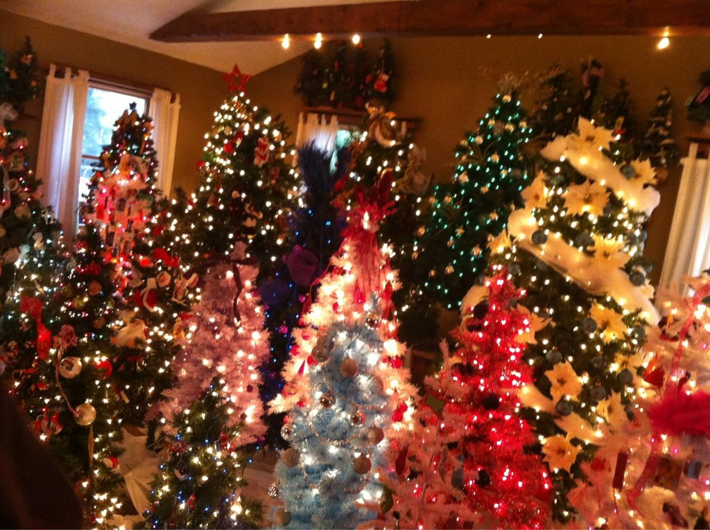 12-People-who-have-more-christmas-spirit-than-you-7