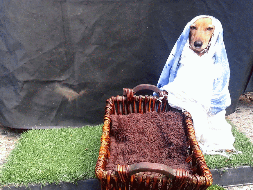 anigif_longform-original-21713-1412697254-14