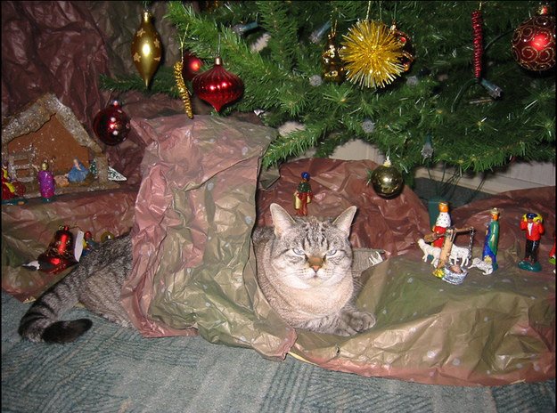 edit-31345-1418318225-19