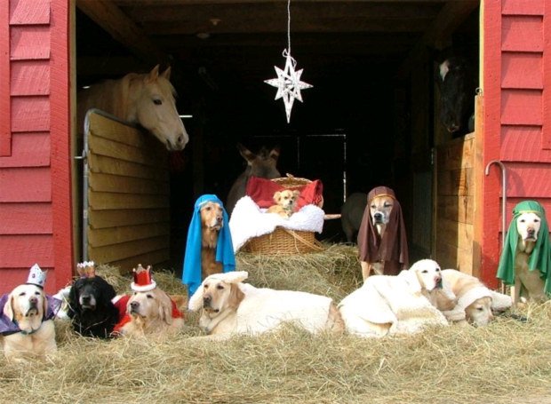 enhanced-20072-1412698237-15