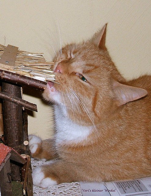 enhanced-21085-1418318340-12