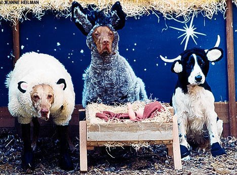 enhanced-24279-1412697944-2