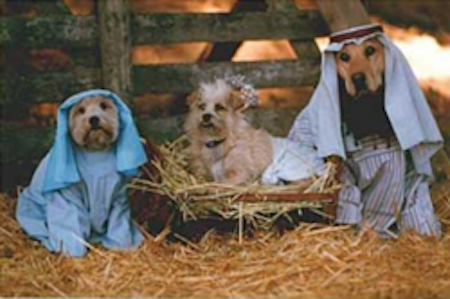 enhanced-2851-1412697349-15