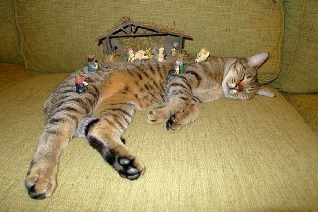 enhanced-4438-1418317043-1