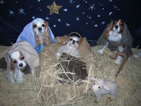 enhanced-9001-1412697783-24