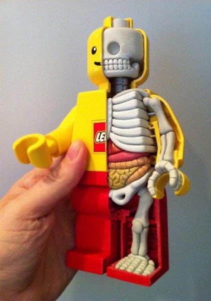 1376376568-Lego-X-Ray