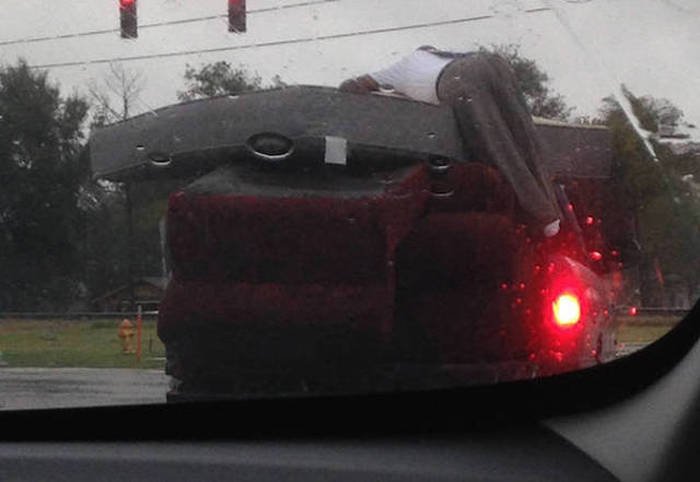 its-amazing-what-you-can-see-while-youre-commuting-19