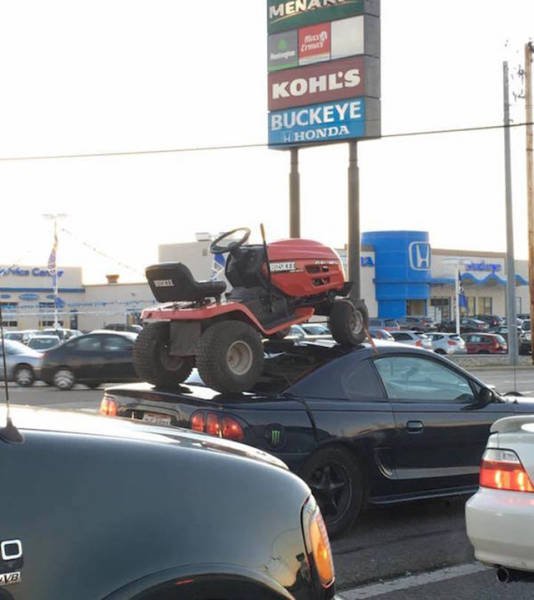 its-amazing-what-you-can-see-while-youre-commuting-2