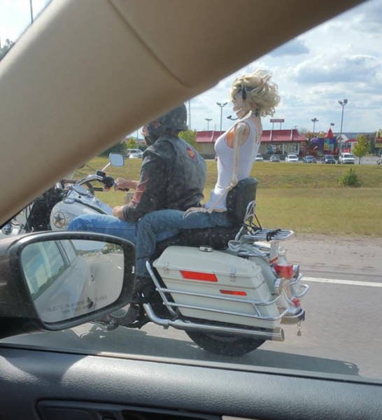 its-amazing-what-you-can-see-while-youre-commuting-5