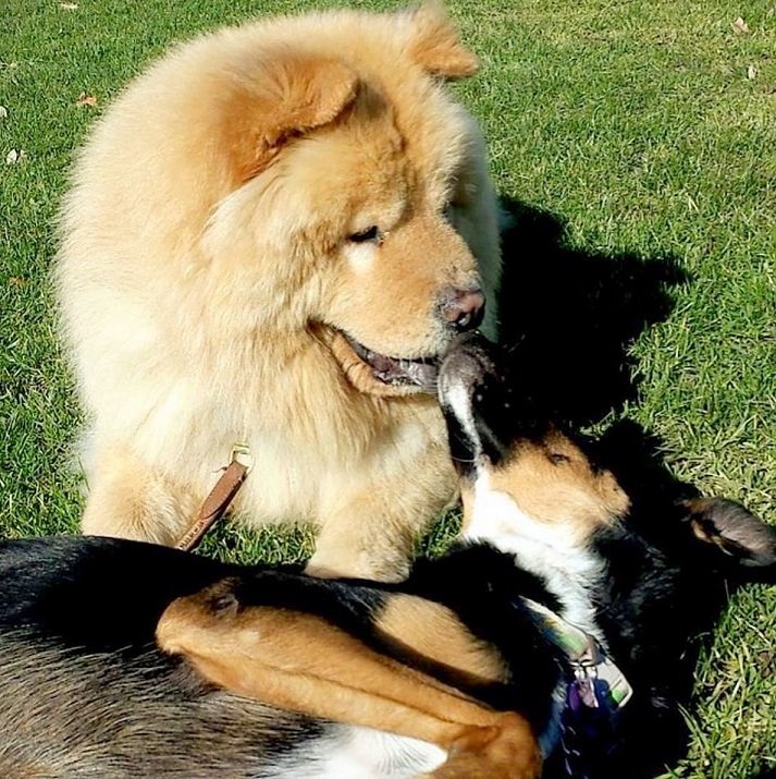 7b8f1f10-fc76-4265-83e8-c60809e2d4a0