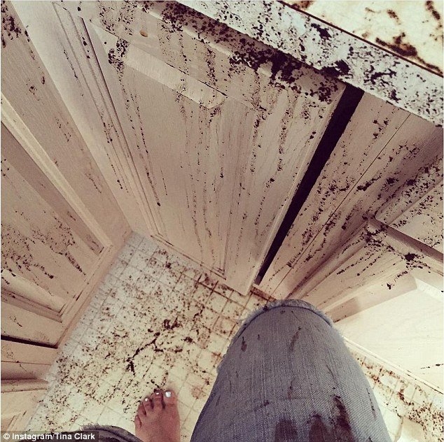 2EBEACE500000578-3332096-image-a-12_1448383790601