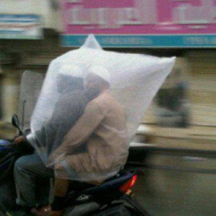 13007145_1713835332161756_4483295909146243867_n