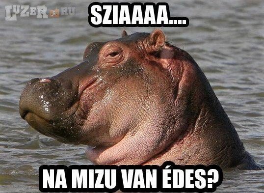 63_1_4300_23a94c2bba105ba83f0bd3c2f589084b_c47b74_204