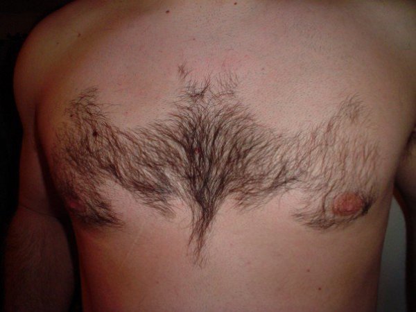 878f4f4f7f0d4e215715ad82c1937ff3